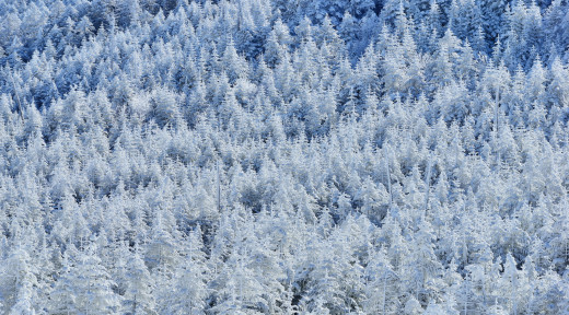 891445 (a): :2048x1131